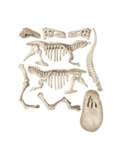 SCIENZA&GIOCO 19165 T-REX su TreG Ingrosso