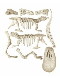 SCIENZA&GIOCO 19165 T-REX su TreG Ingrosso