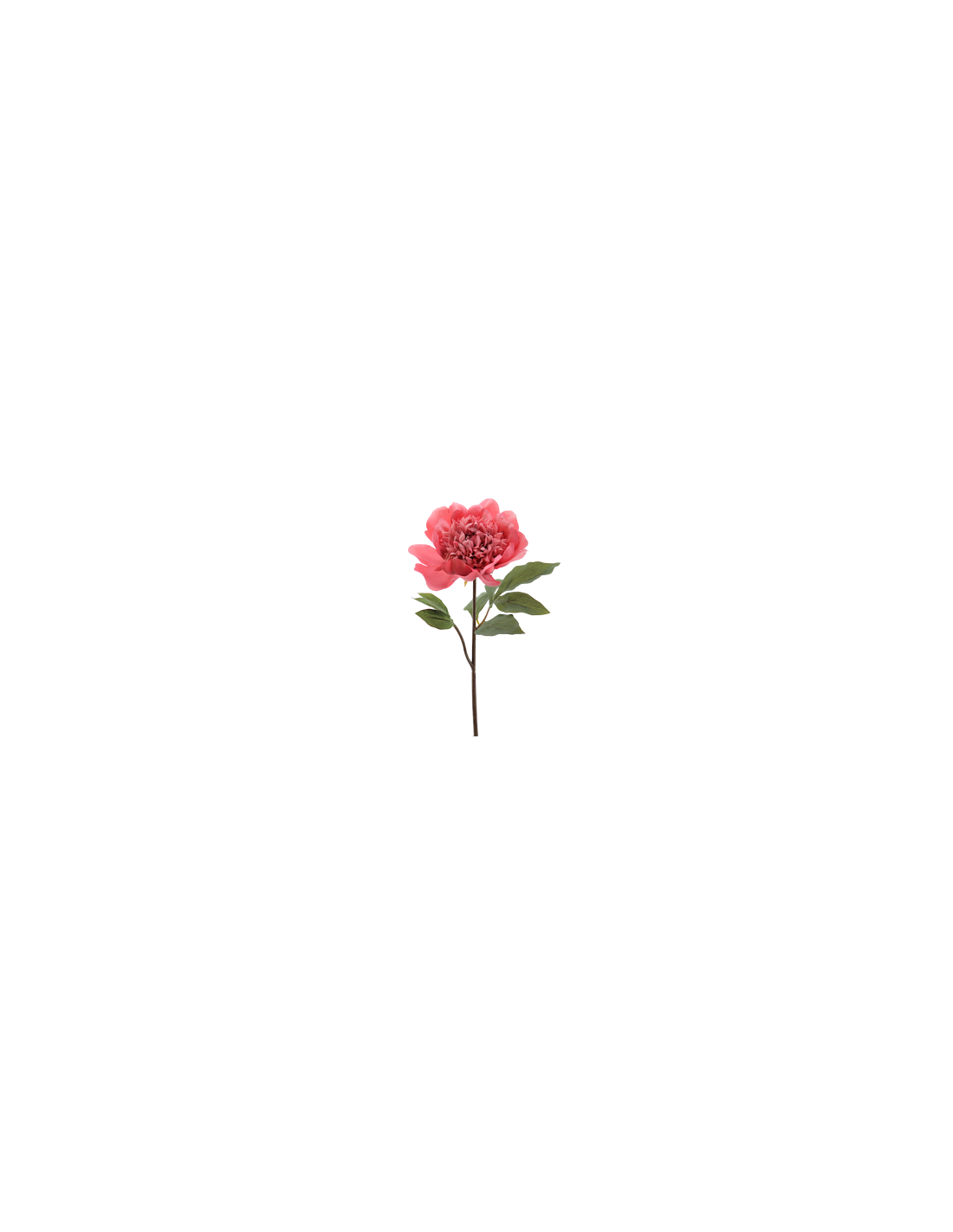 FIORE 1423-24 PEONIA CORALLO