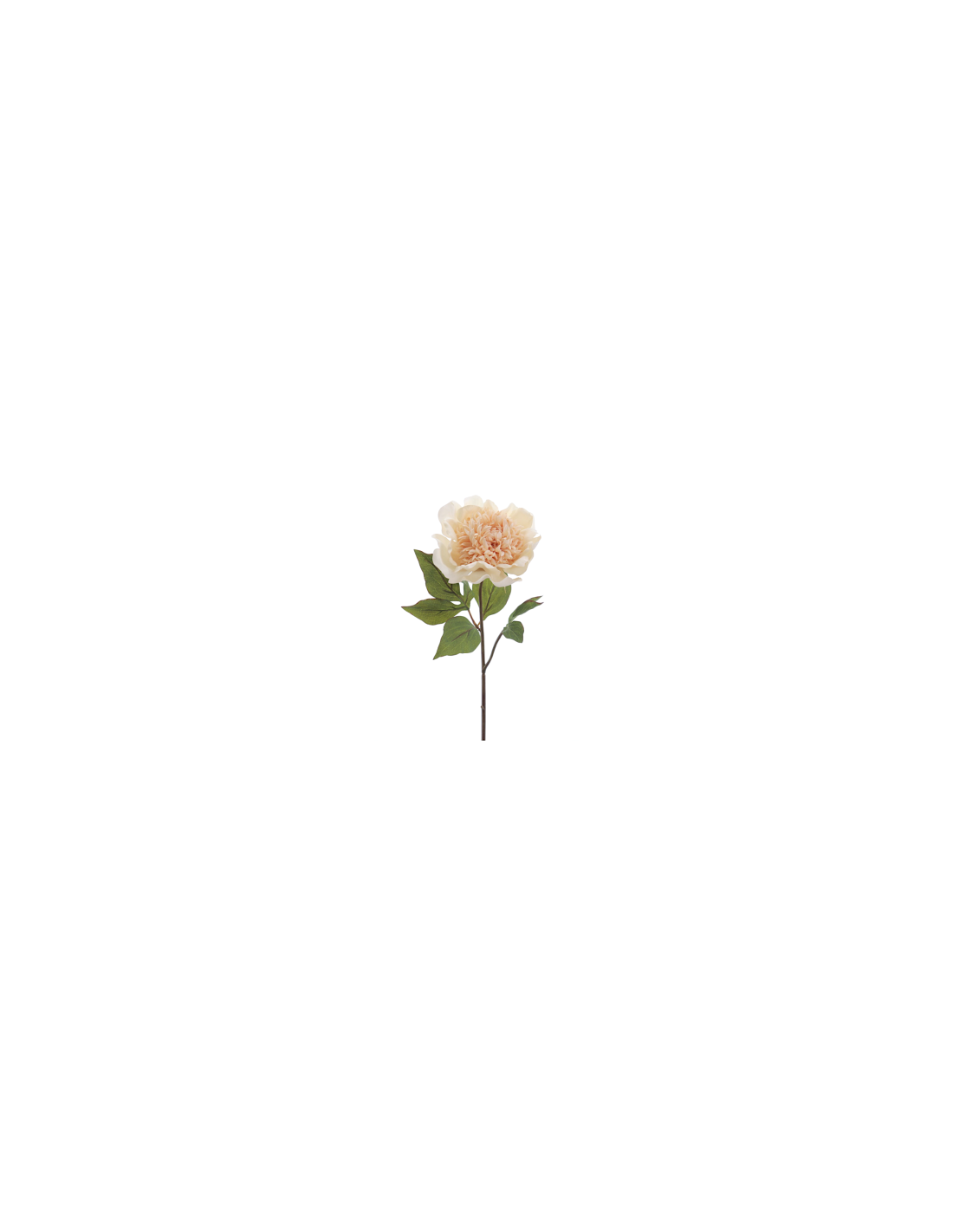 FIORE 1423-31 PEONIA BEIGE