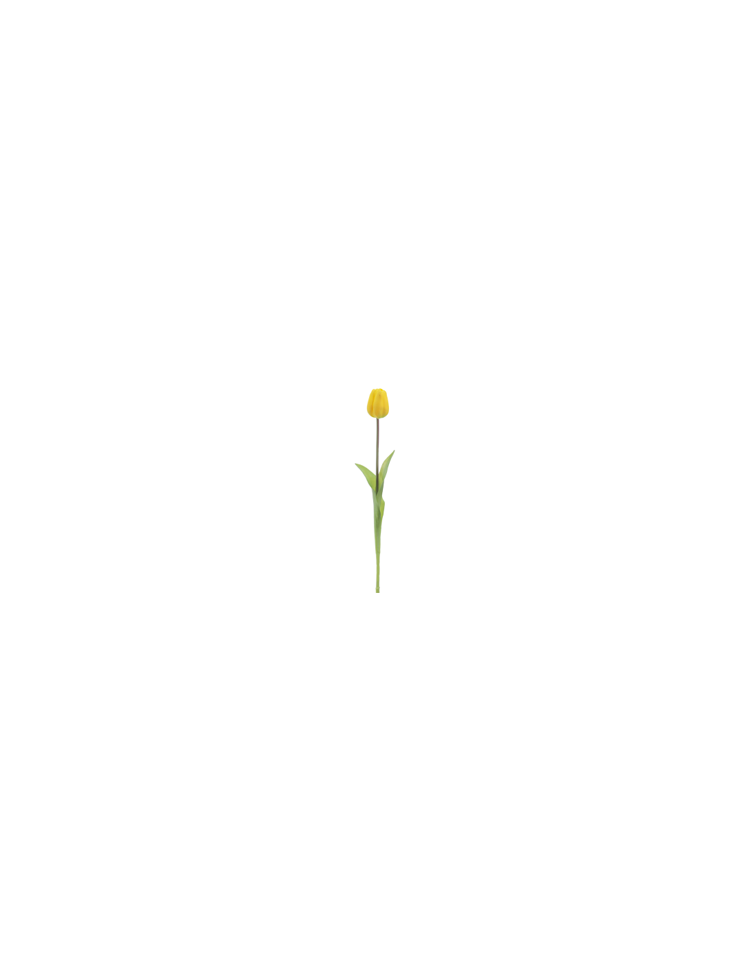 FIORE 2748-02 TULIPANO GIALLO