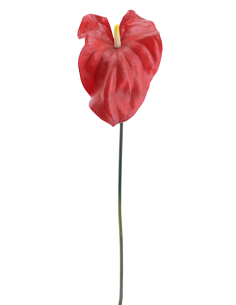FIORE 2748-08 TULIPANO ROSSO