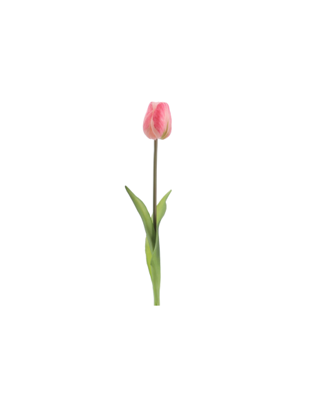 FIORE 2748-12 TULIPANO ROSA