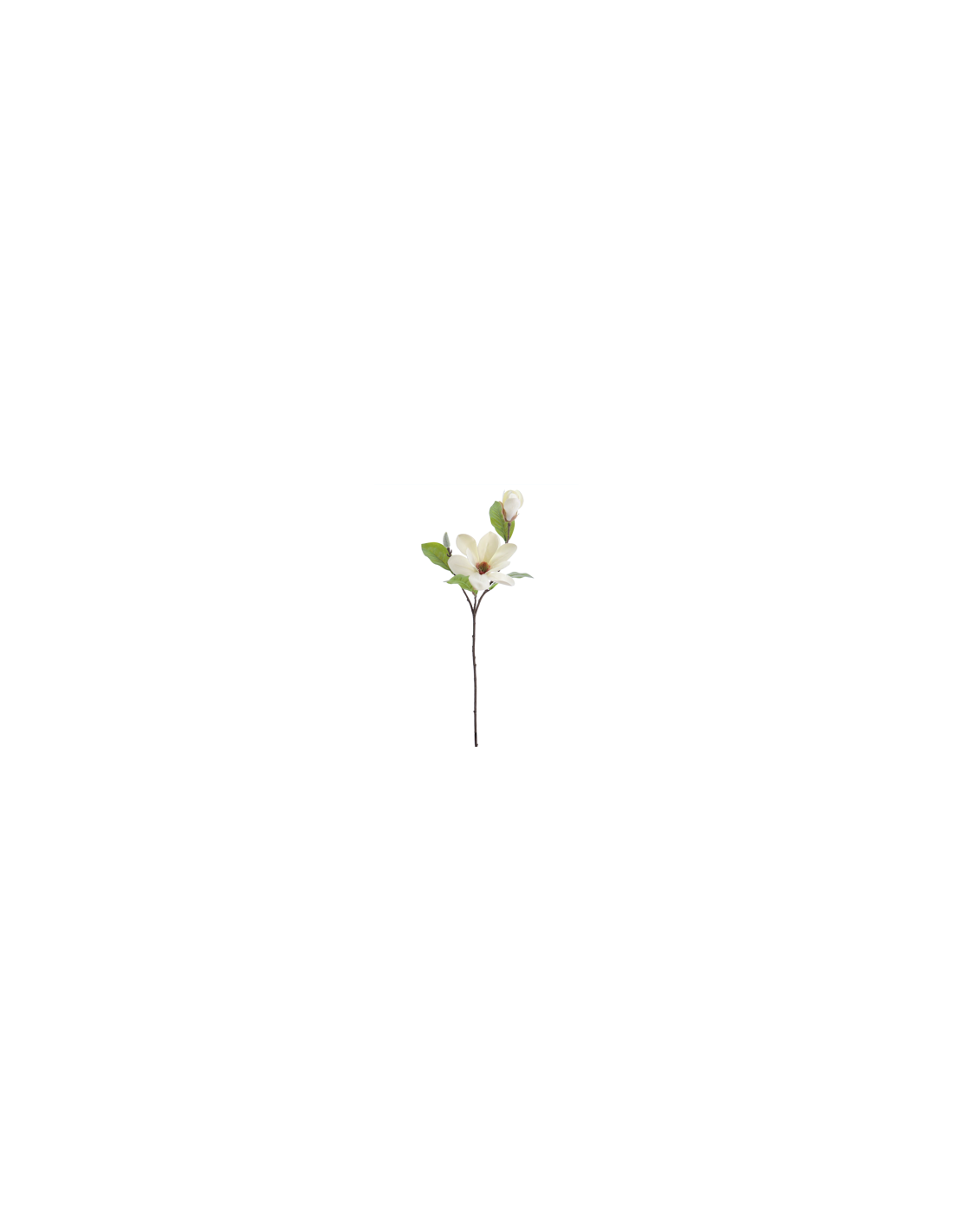 FIORE 4331-01 MAGNOLIA CREMA