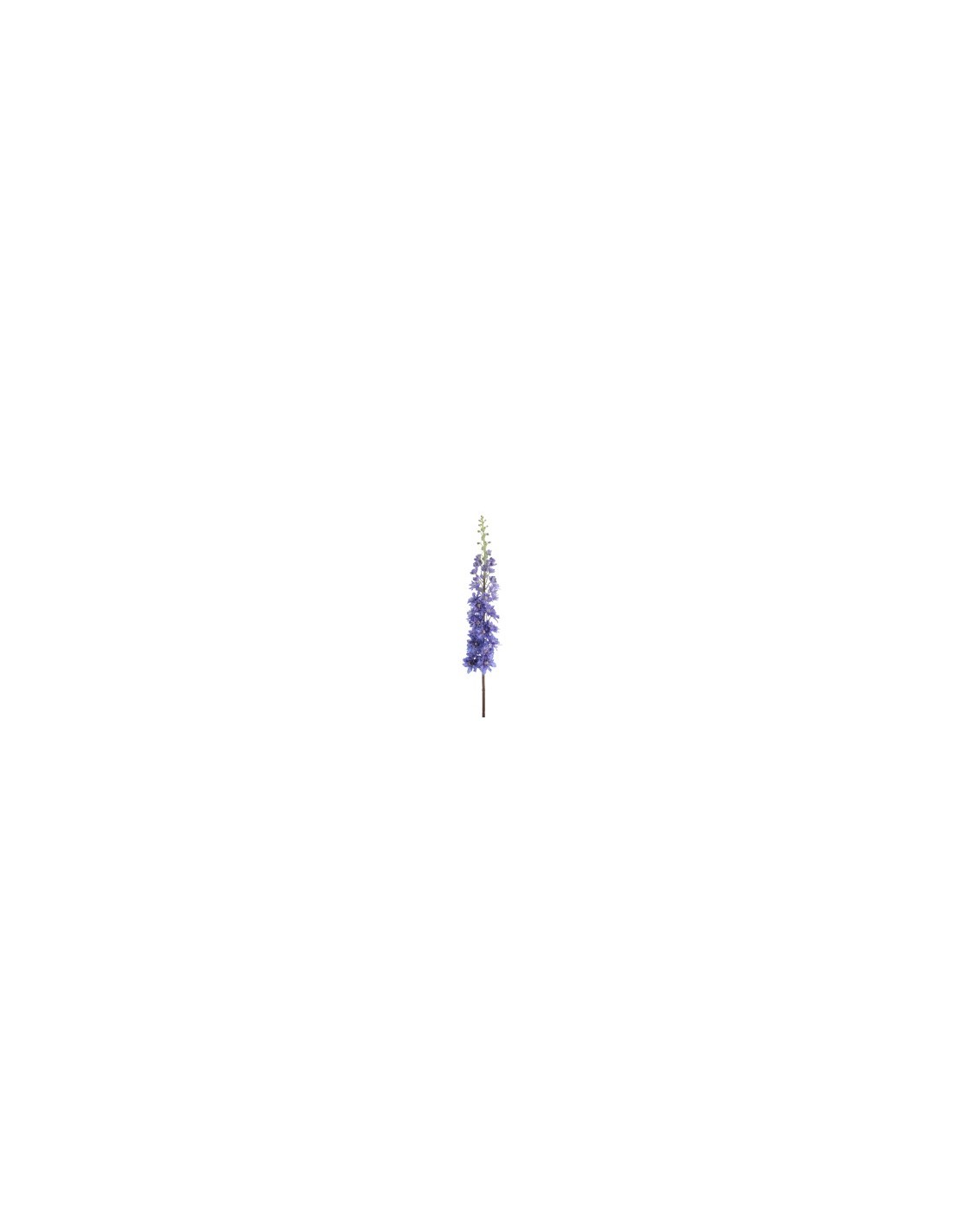 RAMO 1422-10 DELPHINIUM BLU