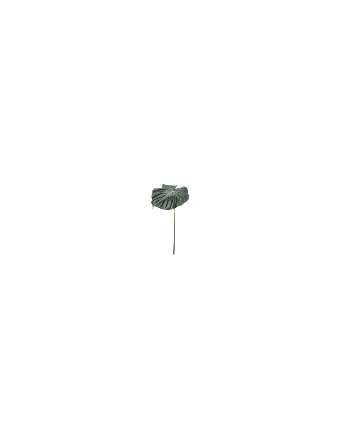PIANTA 2741-09 FOGLIA ALOCASIA