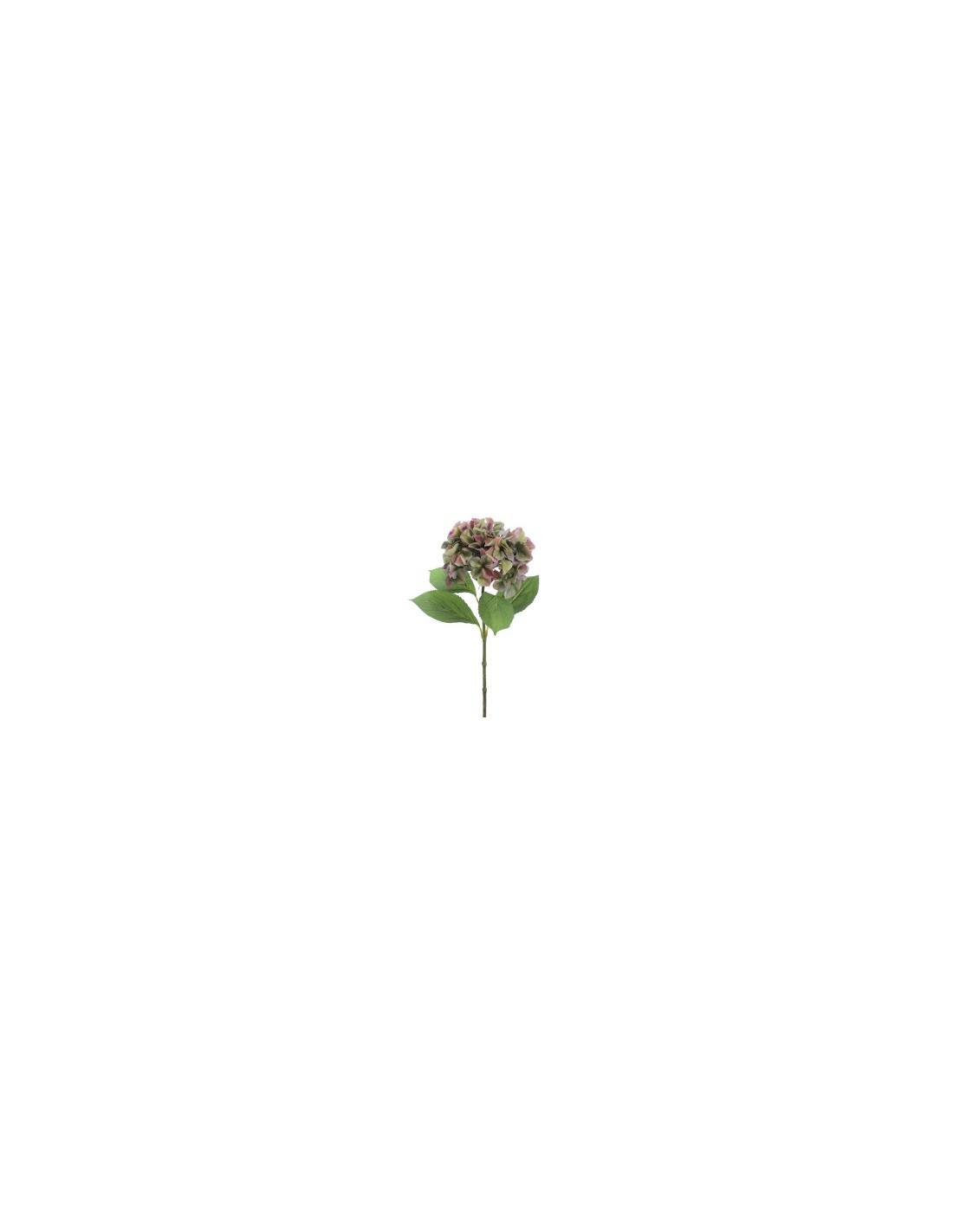 STELO 2764-09 ORTENSIA VERDE