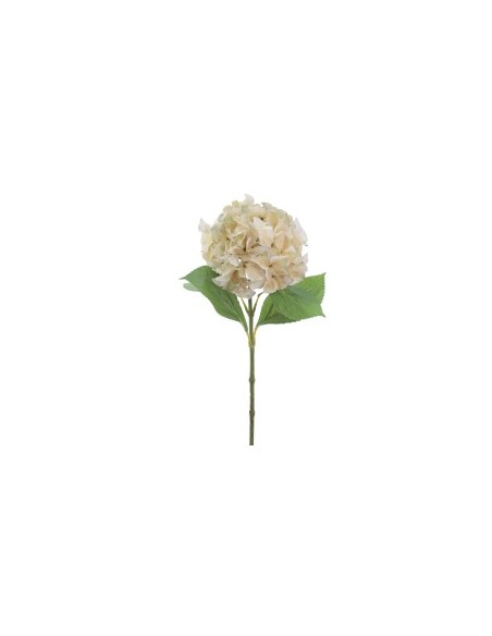 STELO 2764-31 ORTENSIA BEIGE