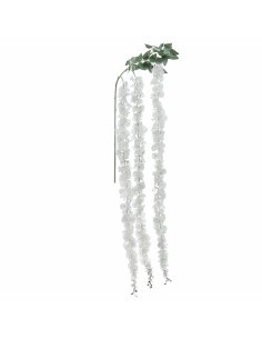 RAMO 2770-01 WISTERIA CREMA