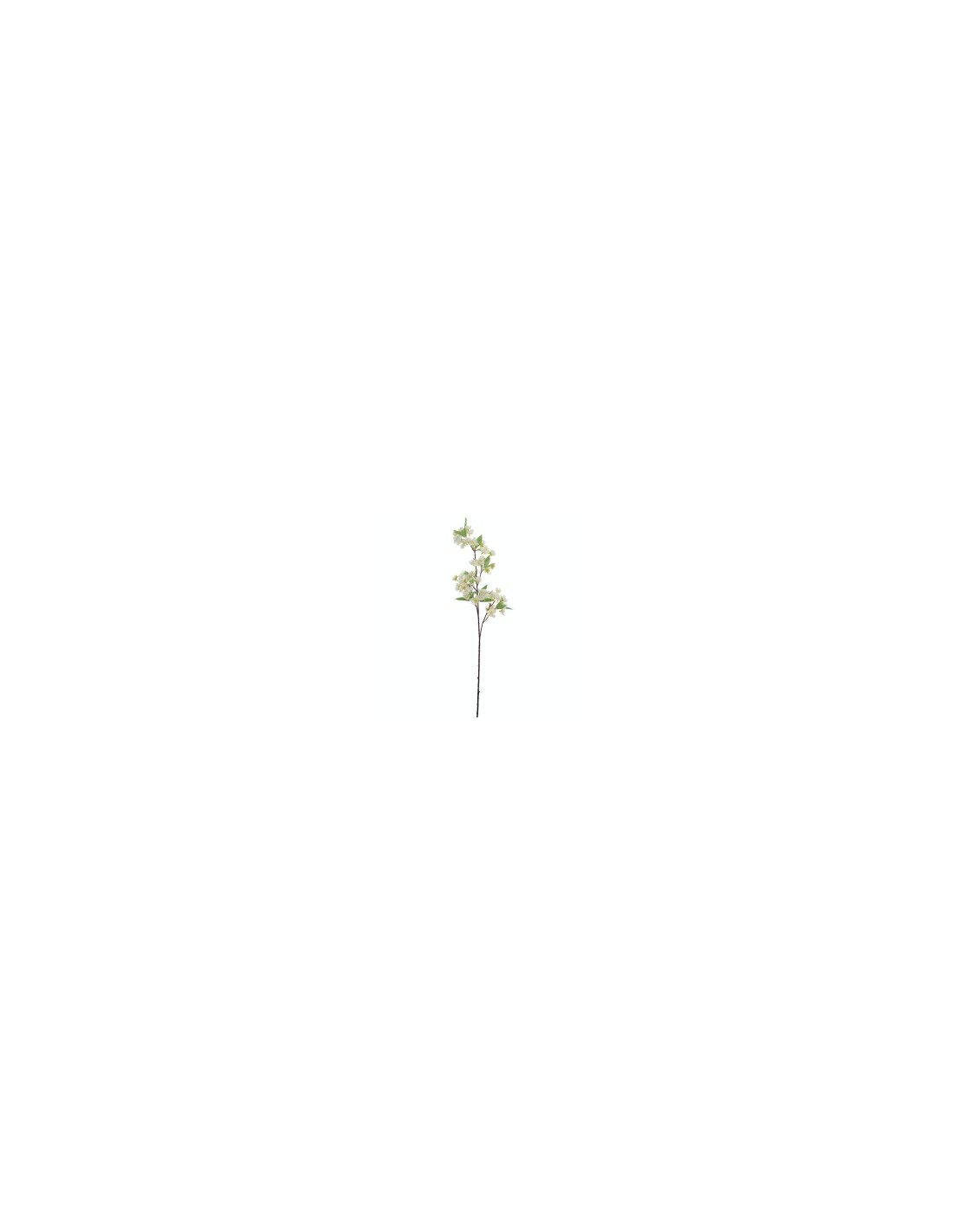 STELO 4382-01 MANZANO CREMA