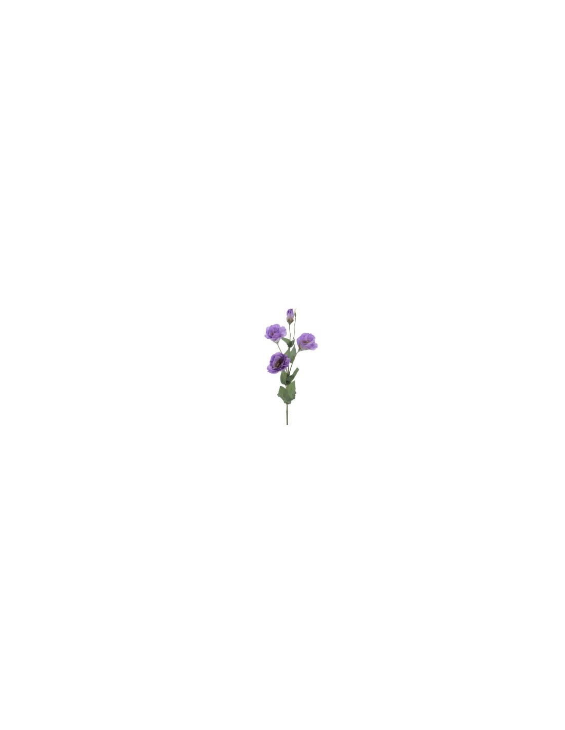 FIORE 6273-25 LISIANTHUS VIOLA
