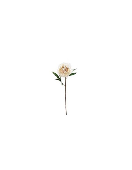 FIORE 1423-01 PEONIA CREMA