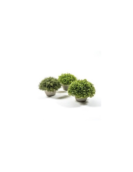 PIANTA VERDE 24851 PLASTICA 20X17CM CON VASO ASSORTITO