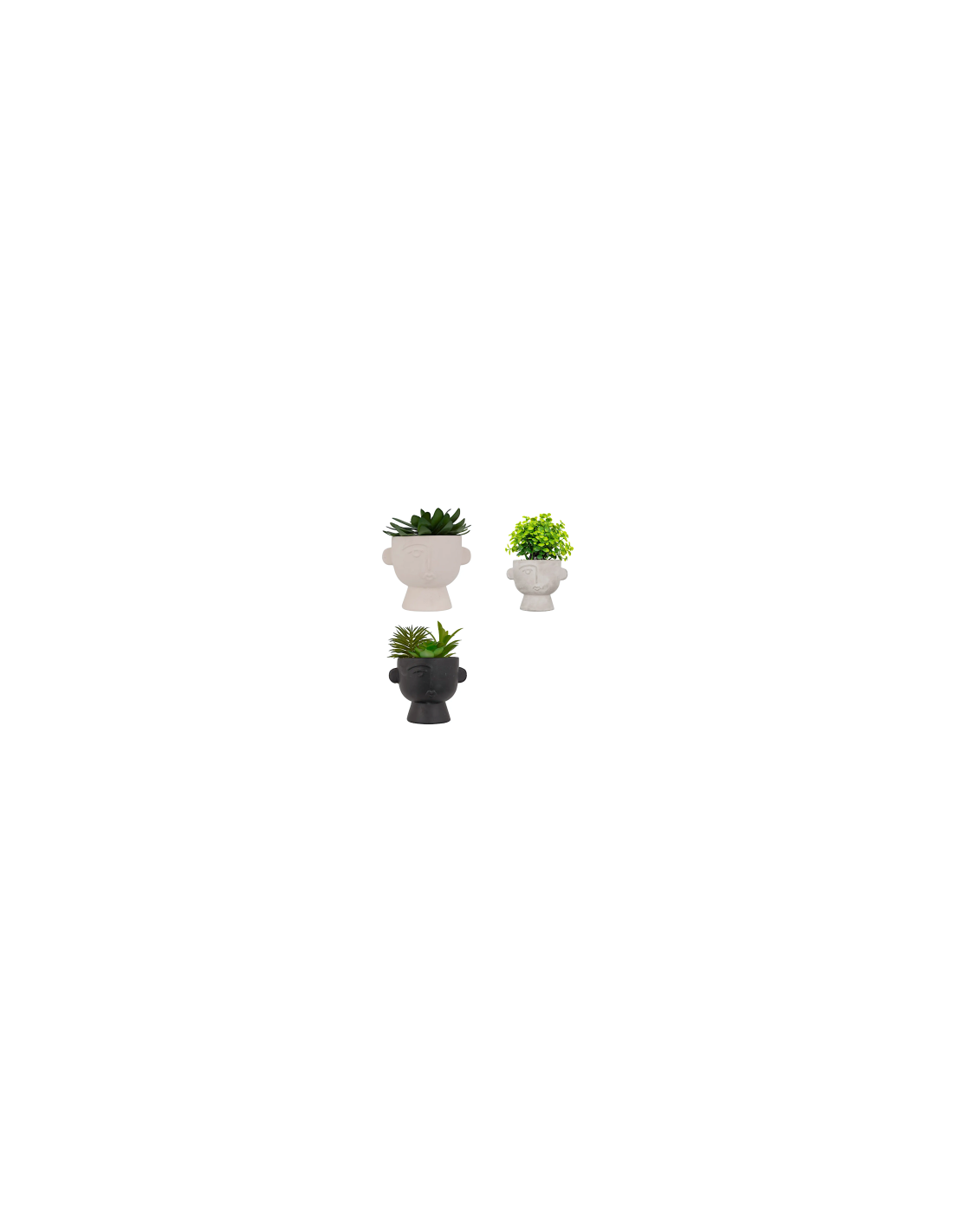 PIANTA GRASSA 206558 DUSTY 15X12X16CM VASO CEMENTO ASSORTITO