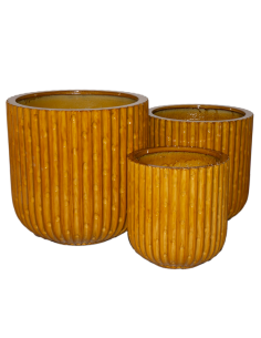 VASO 140503 1 MIS VETRORESINA SENAPE
