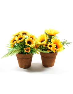 PIANTA 44446 GIRASOLI ASSORTITO 22X18CM VASO PLASTICA