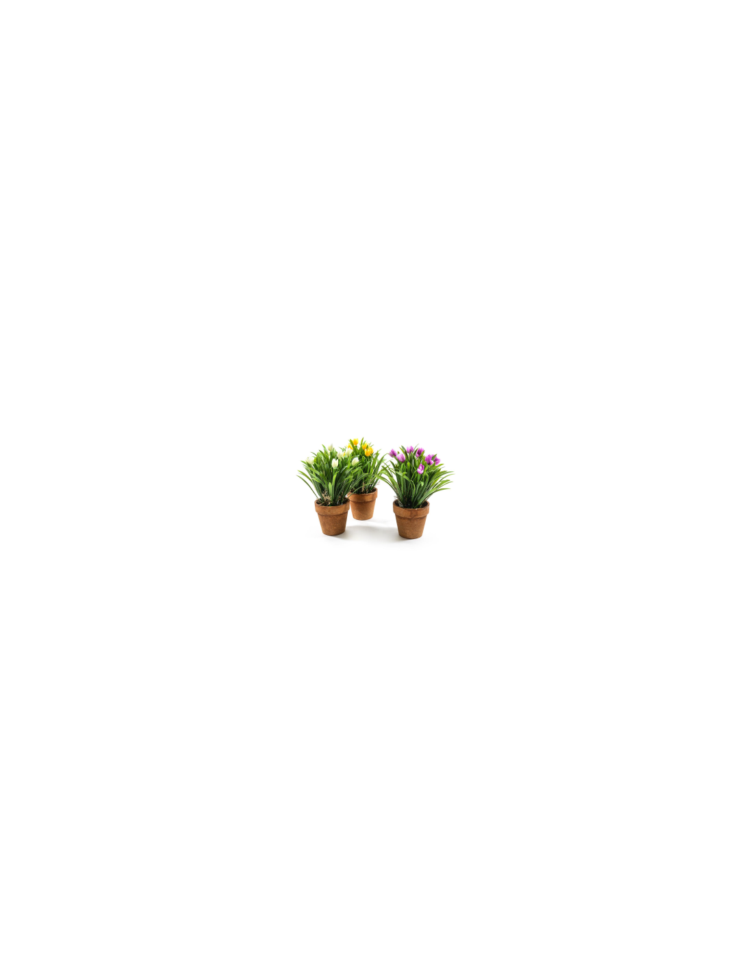 PIANTA 44422 TULIPANI ASSORTITO 25X18CM VASO PLASTICA