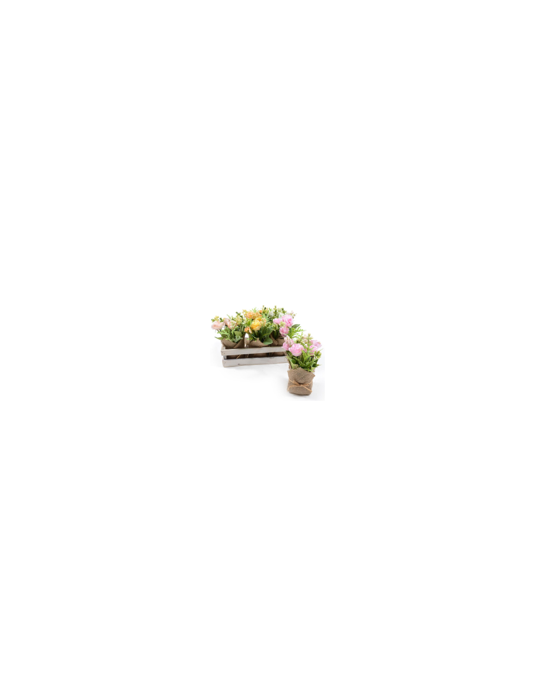 PIANTA 44521 ROSE ASSORTITO H16CM VASETTO JUTA