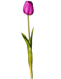 FIORE 18120005-11 TULIPANO ROSA CHIARO 45CM
