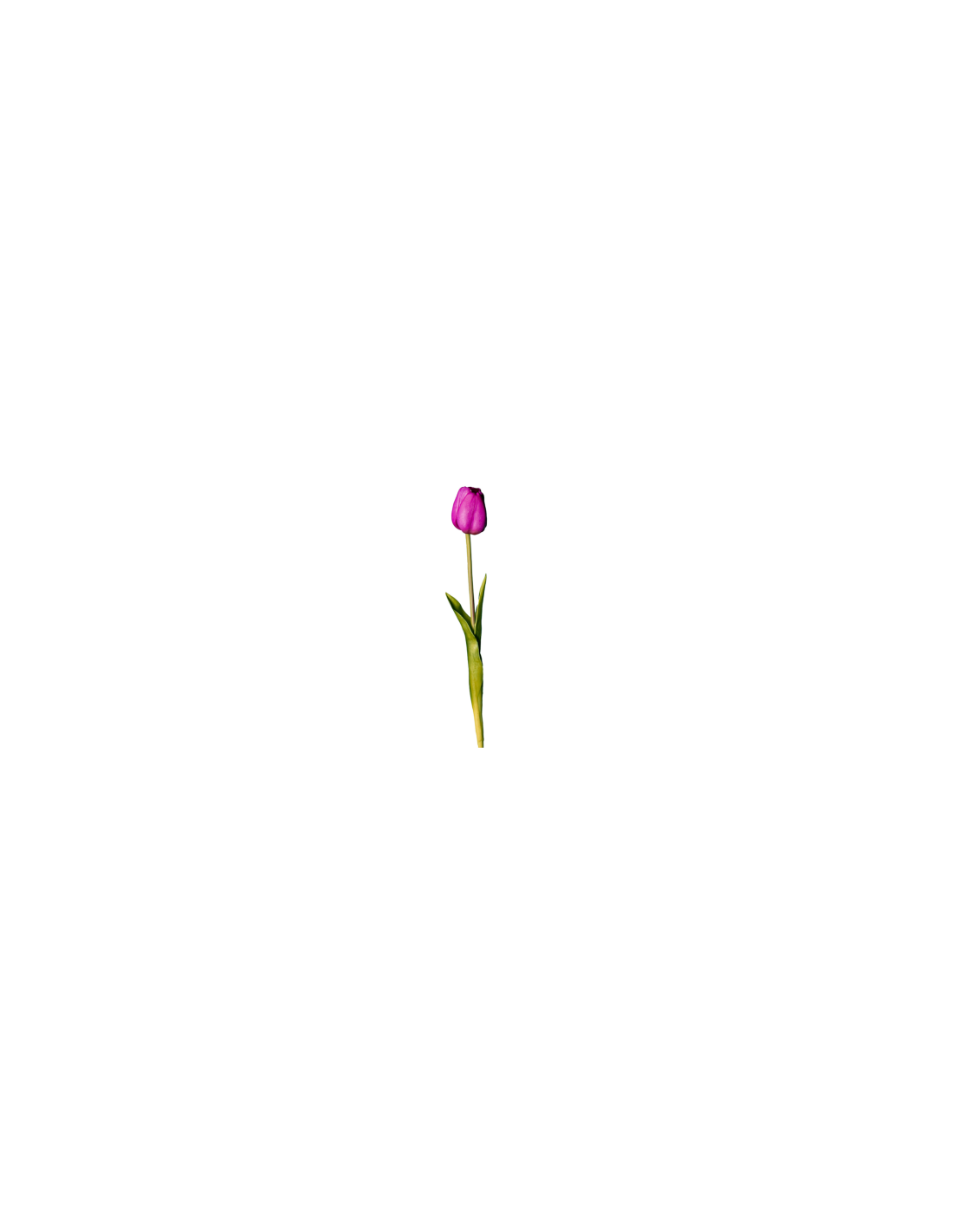 FIORE 18120005-11 TULIPANO ROSA CHIARO 45CM