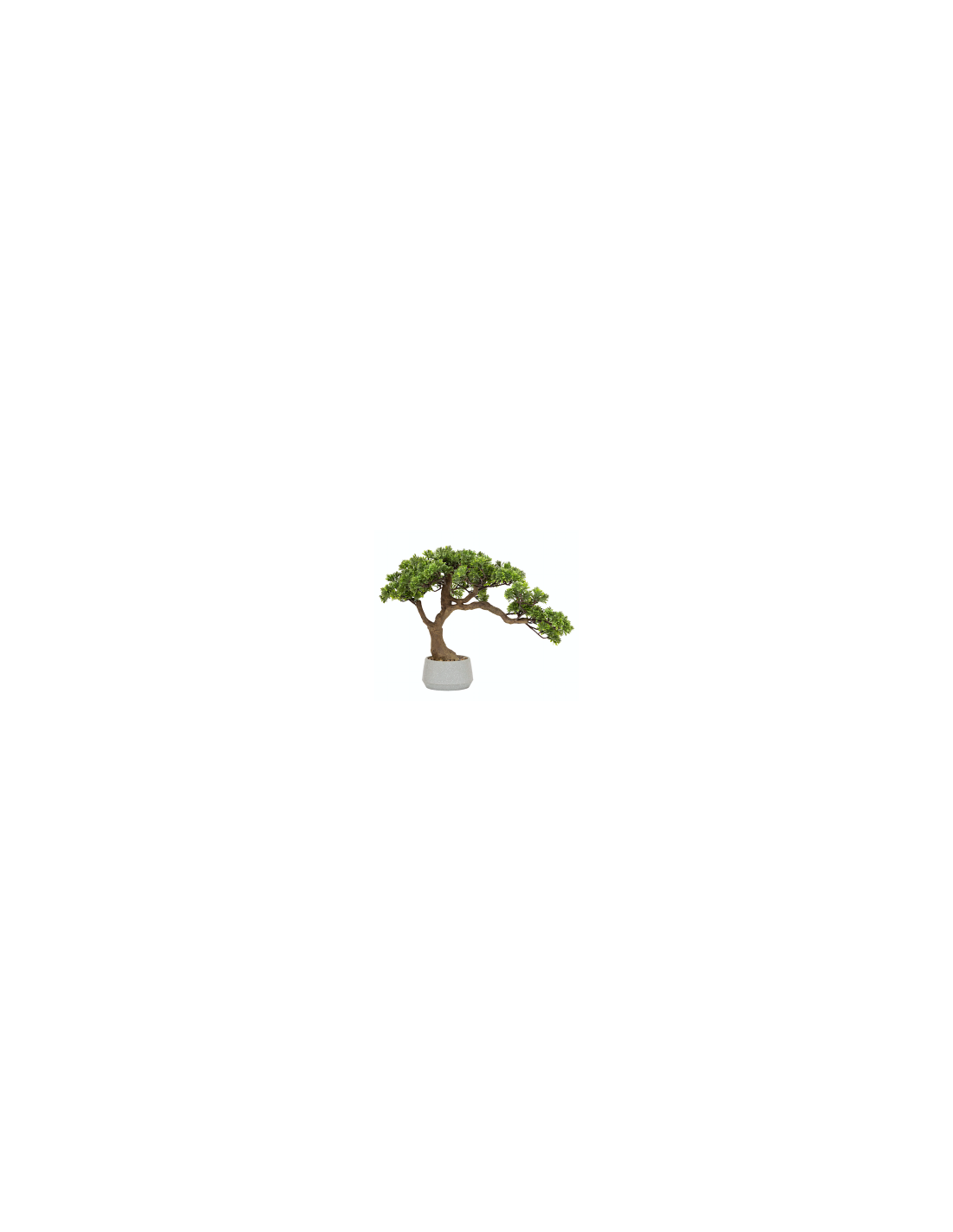 BONSAI 206548 POLIN 45X60CM VASO CERAMICA