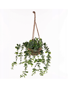 PIANTA SOSPESA 206530 PATRI 14X47CM ASSORTITO