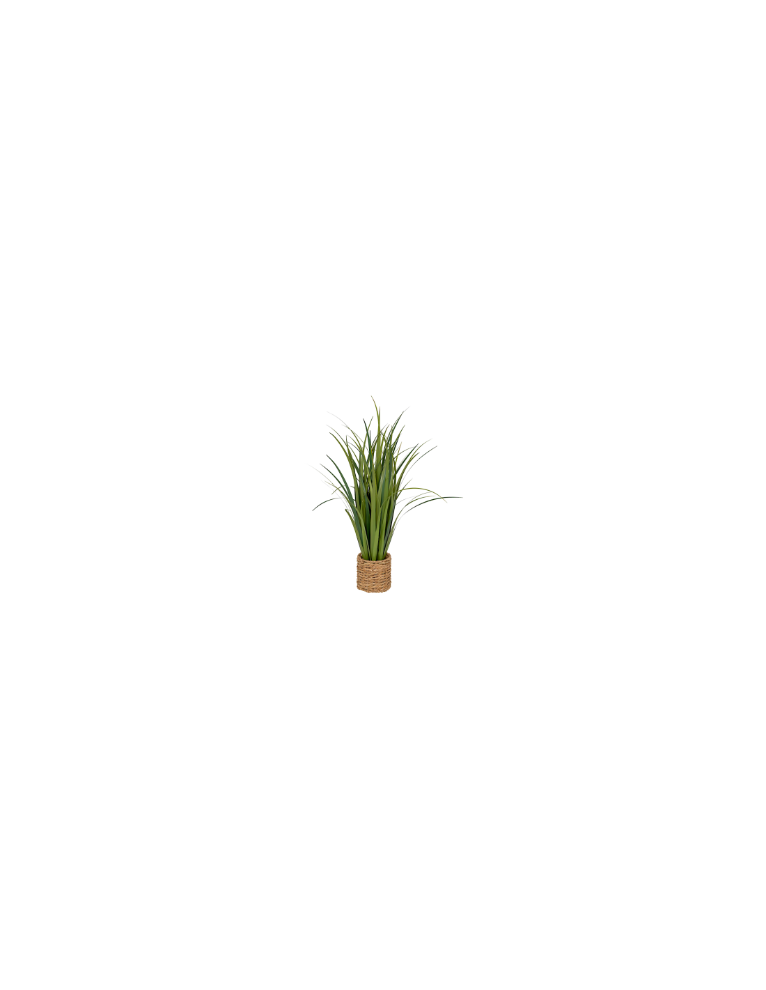 PIANTA 206550 ZYA FOGLIE LINO 70X91CM CON VASO