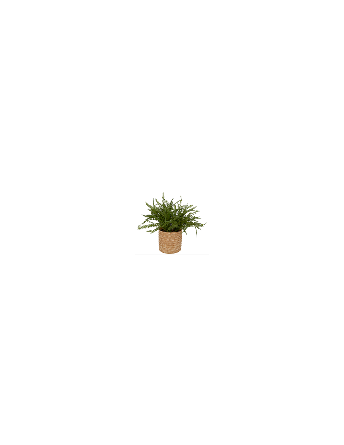 PIANTA VERDE 206609 CLEMY 45X30CM CON VASO