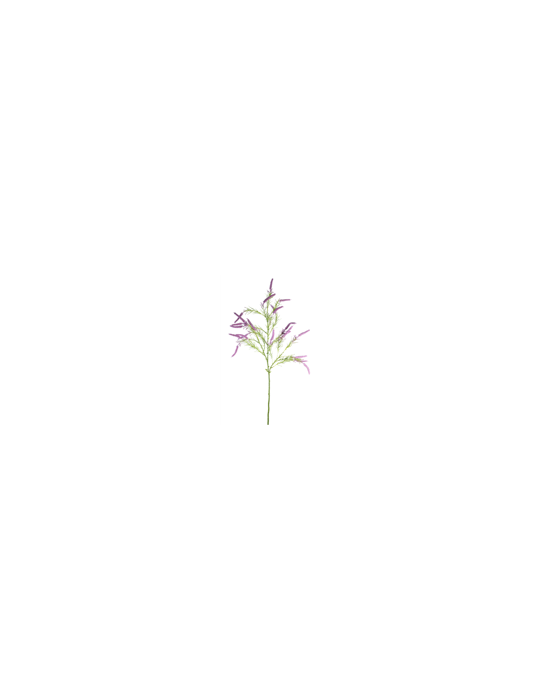 STELO 4009000817 VERONICA LAVANDA 70CM