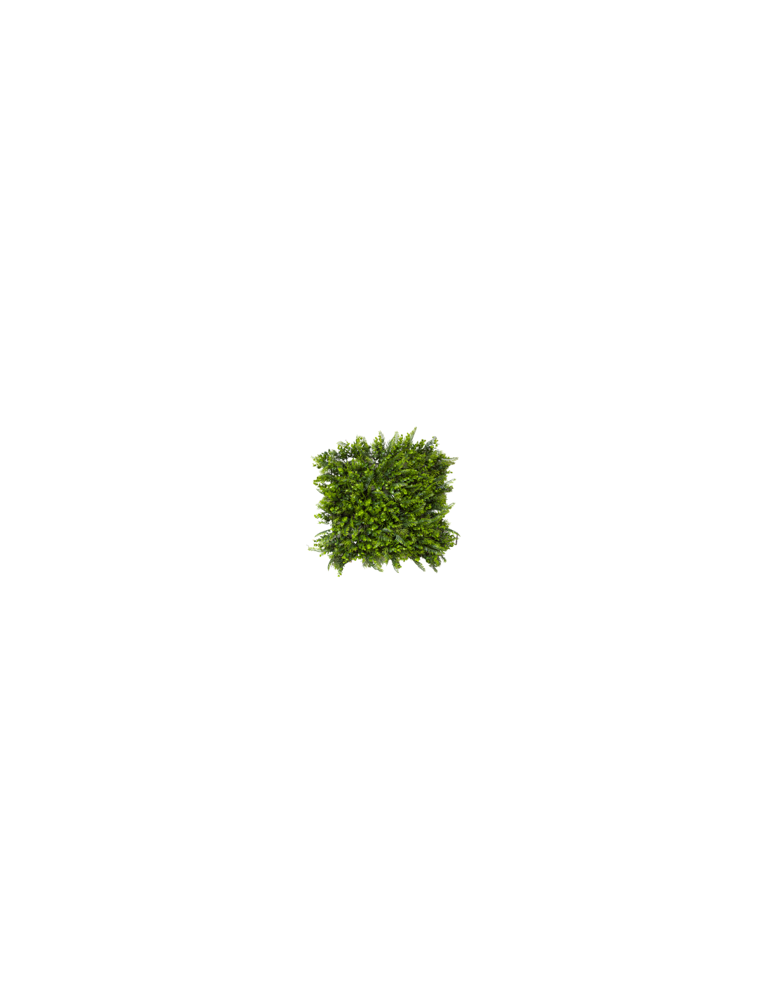 TAPPETO SINTETICO 4004001801 EUCALIPTO/FELCE 50X50CM VERDE