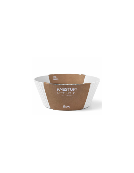 NETTUNO CIOTOLA 30X12CM BIANCO