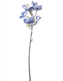 STELO 4010000117 MAGNOLIA LAVANDA GIAPPONESE CON BOCCIOLI