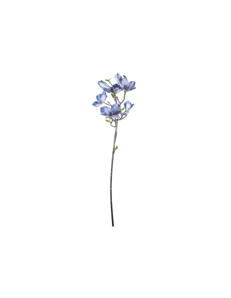 STELO 4010000117 MAGNOLIA LAVANDA GIAPPONESE CON BOCCIOLI