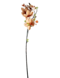 STELO 4010000119 MAGNOLIA PESCA GIAPPONESE CON BOCCIOLI