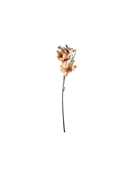 STELO 4010000119 MAGNOLIA PESCA GIAPPONESE CON BOCCIOLI