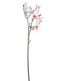 STELO 4010000192 MAGNOLIA ROSA/CREMA GIAPPONESE CON BOCCIOLI