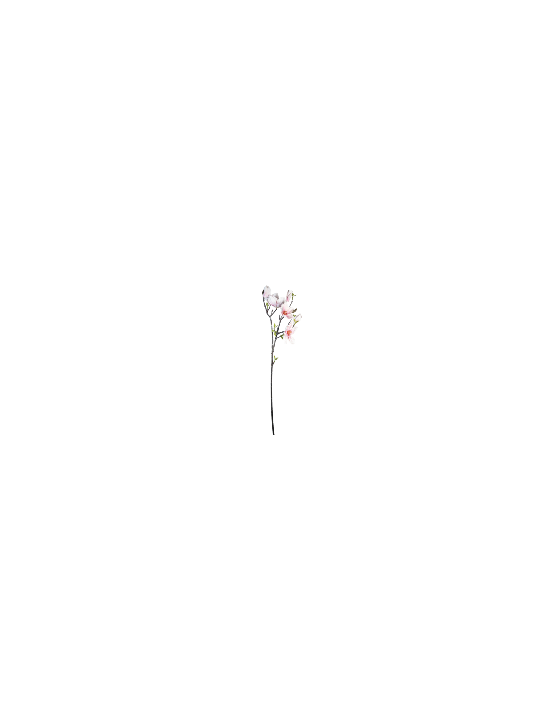 STELO 4010000192 MAGNOLIA ROSA/CREMA GIAPPONESE CON BOCCIOLI