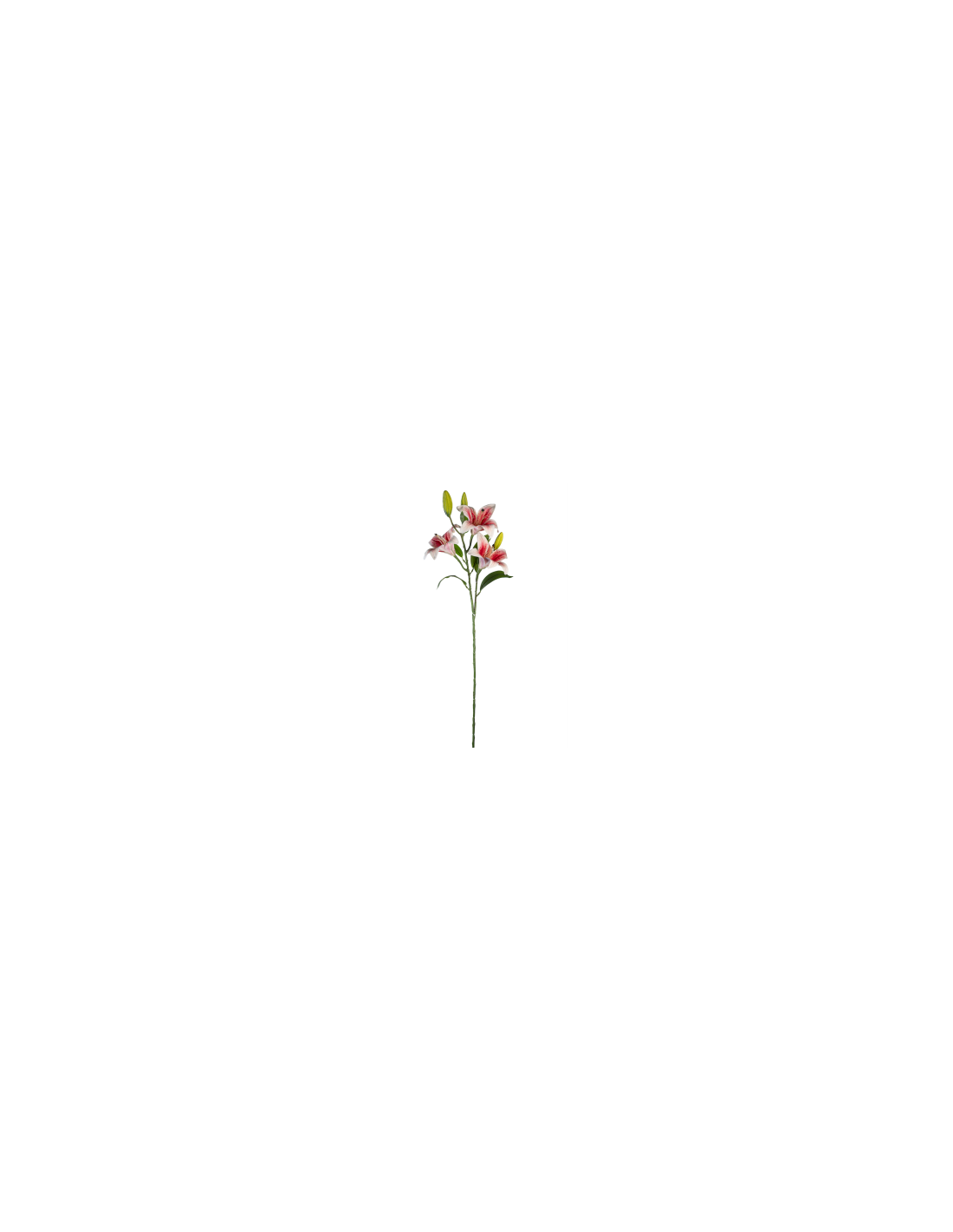 STELO 4015000362 LILIUM ROSSO/BIANCO 3 FIORI E 3 BOCCIOLI