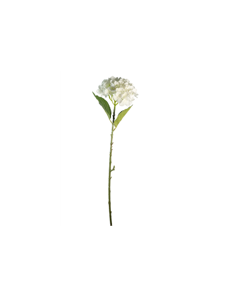 STELO 4000002010 HYDRANGEA CREMA A CESPUGLIO