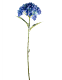 STELO 4000002023 HYDRANGEA BLU A CESPUGLIO