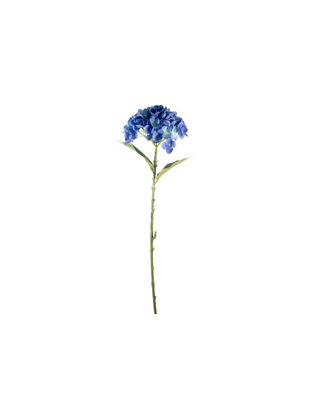 STELO 4000002023 HYDRANGEA BLU A CESPUGLIO