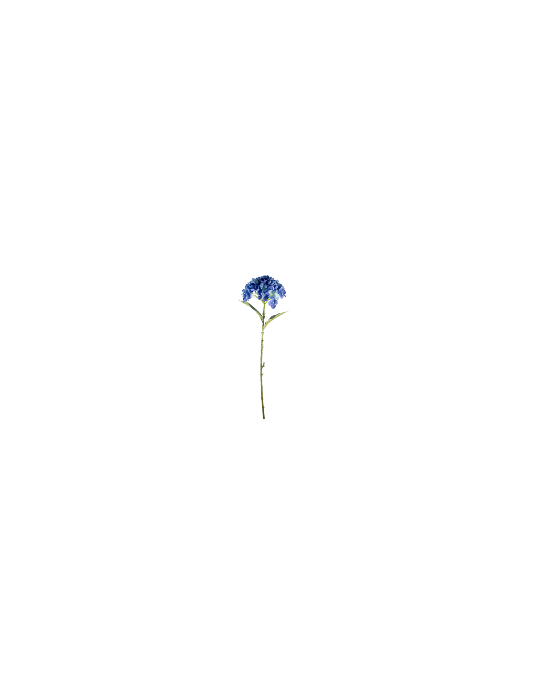 STELO 4000002023 HYDRANGEA BLU A CESPUGLIO