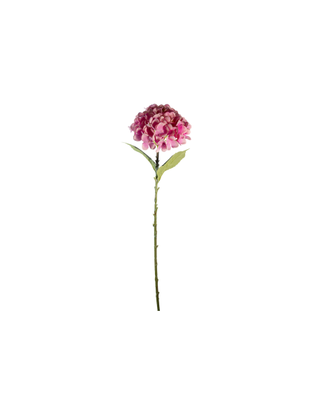 STELO 4000002091 HYDRANGEA ROSA A CESPUGLIO