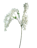 STELO 4012000410 WISTERIA CREMA 6 RAMI