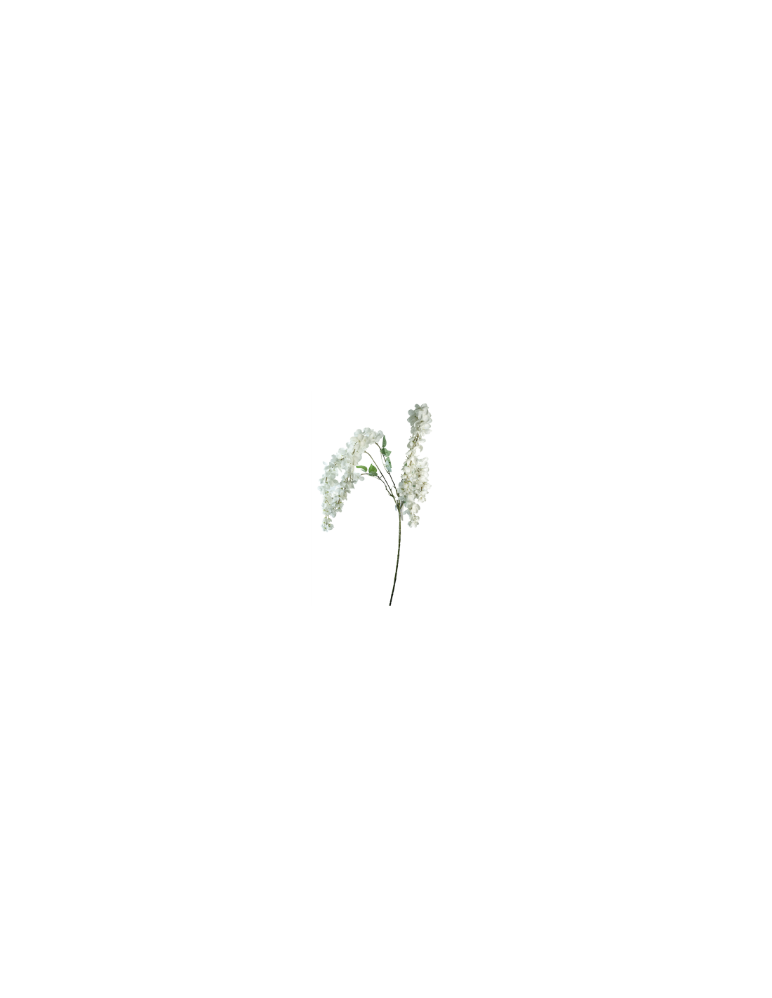 STELO 4012000410 WISTERIA CREMA 6 RAMI