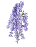 STELO 4012000417 WISTERIA LAVANDA 6 RAMI