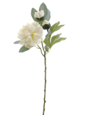 FIORE 4737-01 PEONIA CREMA CON BOCCIOLI