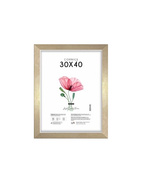 CORNICE QUADRA 30X40 ORO