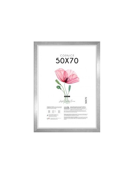 CORNICE QUADRA 50X70 ARGENTO