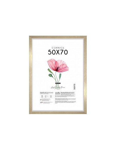 CORNICE QUADRA 50X70 ORO